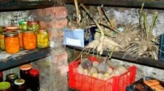 Как да се отървете от гъбичките в сутерена и под земята на частна къща
